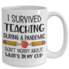 Teacher Coffee Mug – I Survived Teaching During A Pandemic-1
