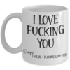 i-love-fucking-you-mug